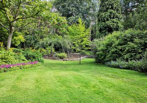 Optimiser l'expérience du jardin à Montarcher